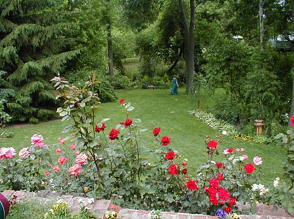 Dorchester House Bed & Breakfast Niagara Şelalesi Dış mekan fotoğraf